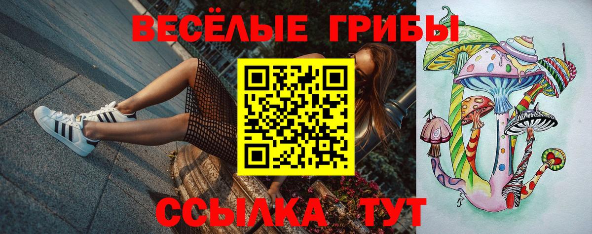 Псилоцибиновые грибы Psilocybine cubensis Грозный